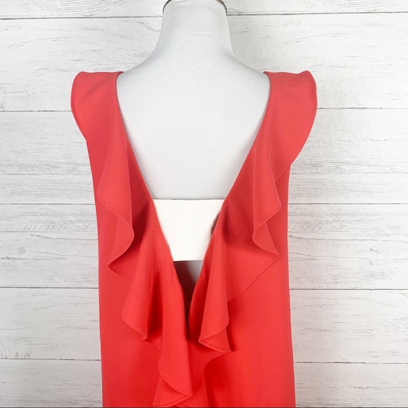 Coco & Felicity • Ruffle Back Shift Dress - Picture 6 of 7